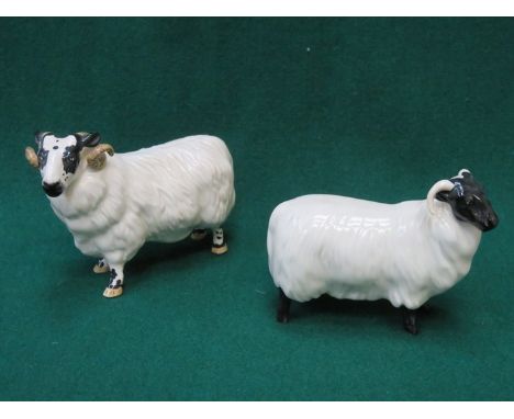 BESWICK GLAZED CERAMIC BLACK FACED RAM NO 3071 & BESWICK GLAZED CERAMIC - BLACK FACED SHEEP NO 1765