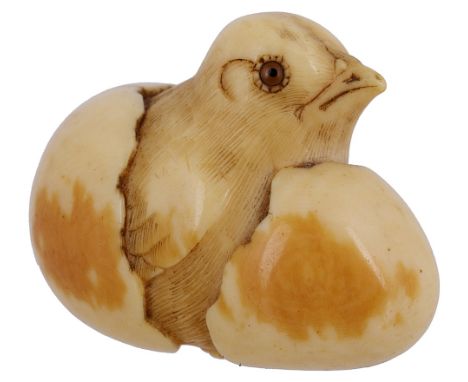 ~A JAPANESE IVORY NETSUKE, BY RANSEN, KYOTO, EDO PERIOD, MID 19TH CENTURYcarved as a chick hatching from its egg, signed to o