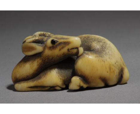 An early 19th century Japanese netsuke from Meiji period. Not signed. In carved elephant ivory portraying a deer with horn ey