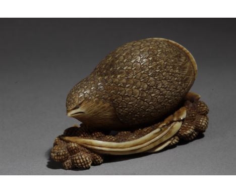 A mid 19th century Japanese netsuke from Edo period. Not signed. In carved ivory with horn eyes inlaid, portraying a quail ly