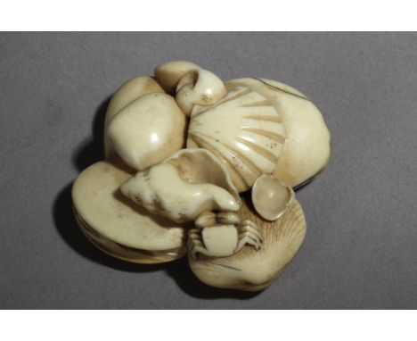 A 19th century Japanese netsuke. Signed Kosai? In carved elephant ivory portraying a group of eleven clams, shells and a crab