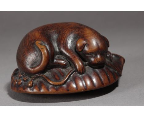 An early 19th century Japanese netsuke form Edo period. Not signed. In carved wood portraying a dog lying on a shell while bi