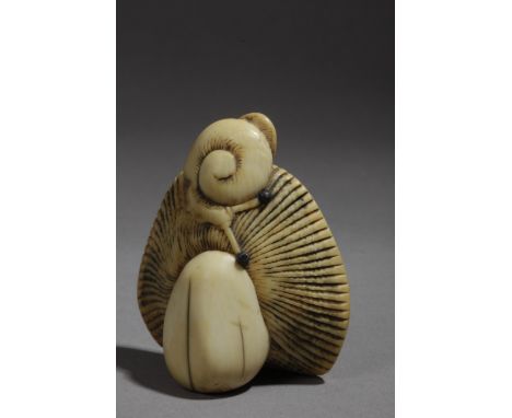 An 18th century Japanese netsuke from Edo period. Not signed. In carved ivory portraying a snail climbing a mushroom, 2,3x4,6