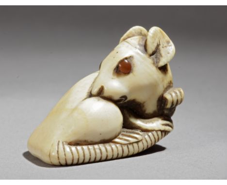 An 18th century Japanese netsuke from Edo period. Not signed. In carved elephant ivory depicting a rat, curled up with his he