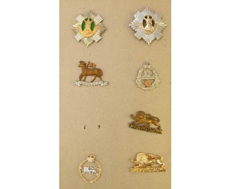 An album of British Army Infantry cap badges, WW1, WW2 and later, including Royal Scots, Queen's (Royal West Surrey), East La