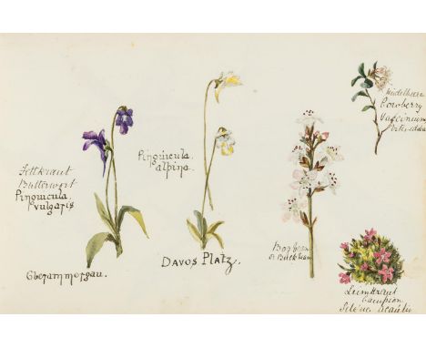Natural History.- An album of 90 Floral watercolour drawings. (ca. 1880).  single volume, oblong 4to, (177 x 257mm), contempo