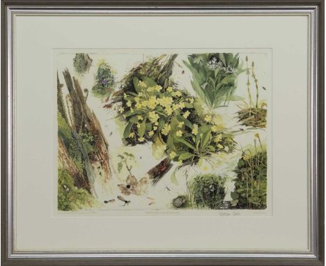 * VICTORIA CROWE OBE RSA RSW FRSE (SCOTTISH b. 1945),SPRING: FLOWERS IN A BORDERS WOODlimited edition lithograph on paper, si