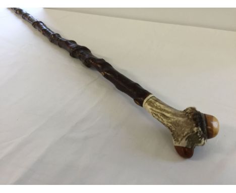 A thorn walking stick with horn handle