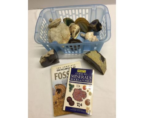 A collection of natural stones including 4 geodes, a large piece of quartz crystal, slices of crystal/agate geodes with some 