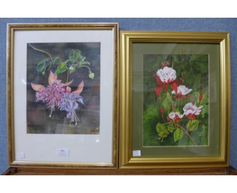 English School, two botanical studies, watercolour, framed 