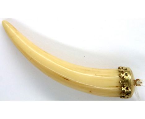 9ct gold mounted tooth pendant, L: 57 mm. P&amp;P Group 1 (£14+VAT for the first lot and £1+VAT for subsequent lots) 