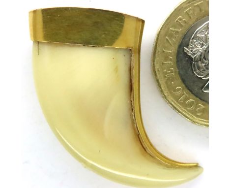 Yellow metal mounted lion claw brooch, 3.9g. P&amp;P Group 1 (£14+VAT for the first lot and £1+VAT for subsequent lots) 