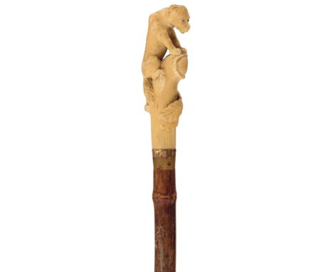 A 19TH CENTURY WALKING CANE, the ivory handle carved as a full length hunting dog with glass eyes, perched on a trunk, bamboo