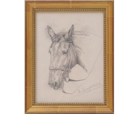 Lucy Elizabeth Kemp-Welch (1869-1958), Portrait of a hunter, pencil sketch, signed, 20cm x 14.5cm 