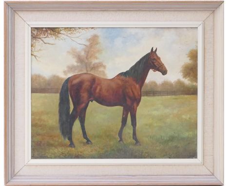 Herbert H St John Jones (1870-1939), 'Hampton', sketch of the chestnut hunter, and on the reverse 'Erich of Haddon' a rough s