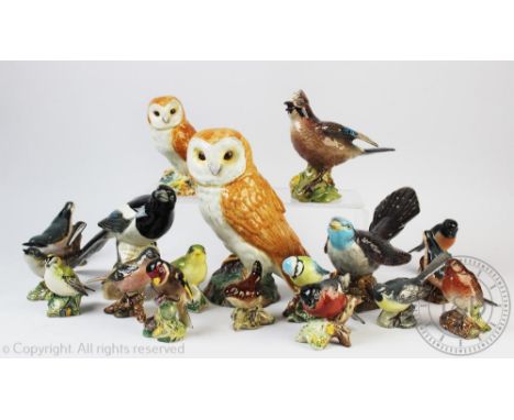 Eighteen Beswick birds to include a magpie, a large barn owl and a smaller barn owl, a Jay, a Cuckoo, a Goldfinch, a Nuthatch