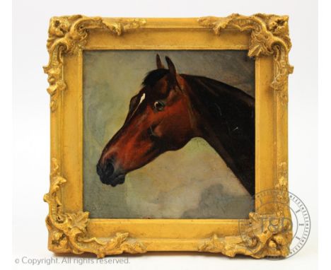 English School - late 19th century, Oil on board, Study of a horses head, Unsigned, 15cm x 15cm, Later framed   CONDITION REP
