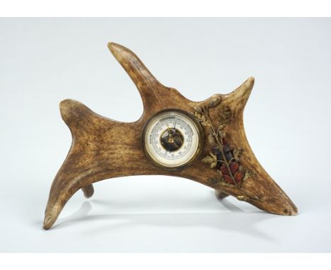 Geweih-Barometer mit echten Hirschkäfer, Anf. 20.Jh. auf montierter Geweihstange angebrachtes Barometer (Fkt.n.gepr,), L.ca. 