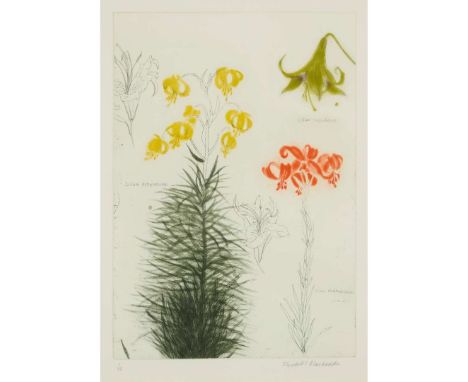 DAME ELIZABETH BLACKADDERLILIUM - 1997Etching, 1/50, signed and numbered in pencil to marginMercury Gallery, Londonthe image 