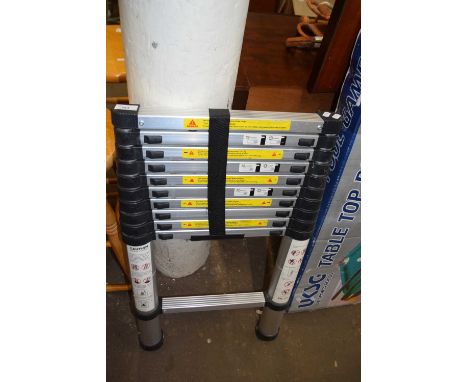 Folding telescopic ladder