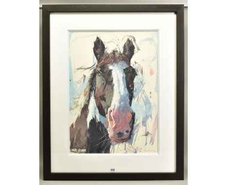 JAMES BARTHOLOMEW (BRITISH CONTEMPORARY) 'GILLING PIEBALD II' a portrait study of a horse, signed bottom right, mixed media o