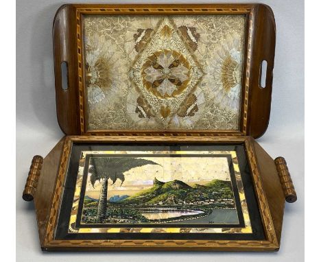 BUTTERFLY WING TRAY - with a picture of Rio and another butterfly wing tray