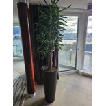 Cattelan Italia Bongo chocolate leather planter tub 40 x 40 x 90cm (Loc Geneva)