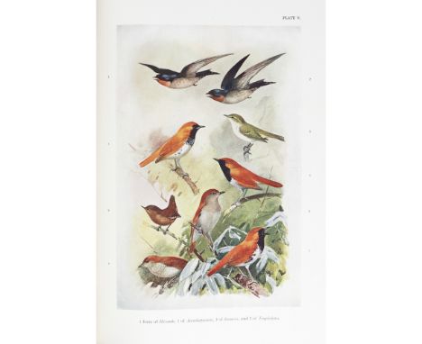 JAPAN - KURODA, NAGAMICHIA CONTRIBUTION TO THE KNOWLDGE OF THE AVIFAUNA OF THE RIU KIU ISLANDS Tokyo: Published by the Author