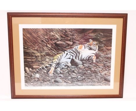 A limited edition, framed Peter Cousins print 'Sated Tiger', number 24 of 850