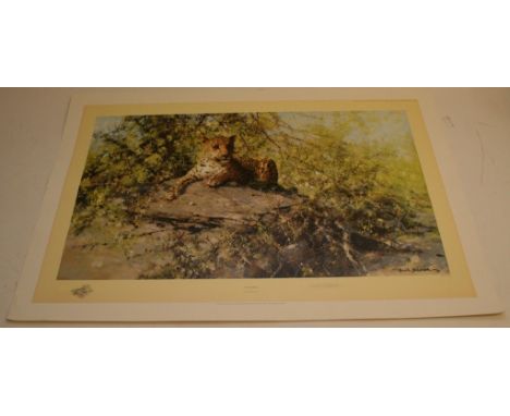 A signed unframed David Shepard limited edition print, titled The Sentinel, 1250/1500 