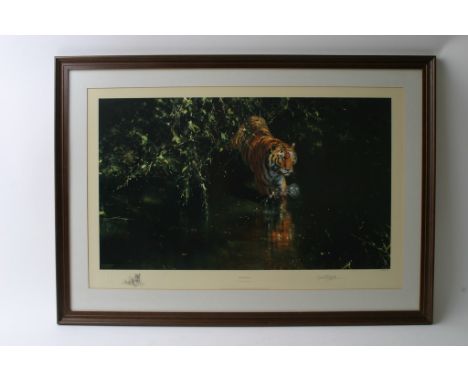 A framed David Shepard limited edition print, titled Burning Bright, 1592 