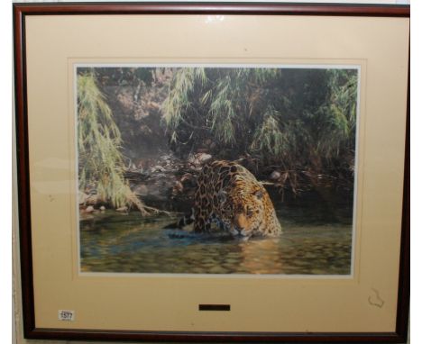 Simon Combes - Eyes of Warning,framed print