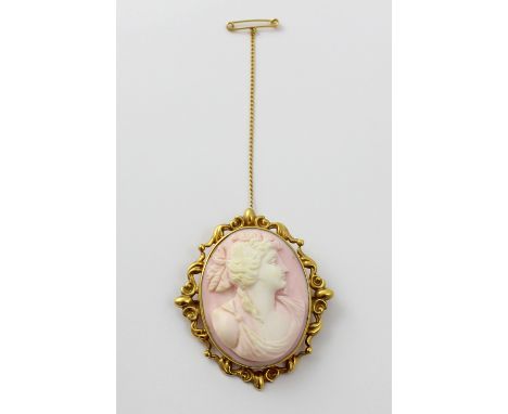 An unusual light pink and white shell cameo brooch in Birmingham hallmarked gold surround, Maker A&C, approx height 5cm.