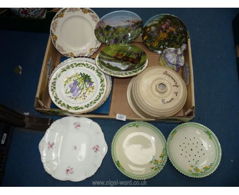 A quantity of cabinet plates to include boxed Franklin porcelain game birds, a/f, Spode English Thoroughbred, Royal Worcester