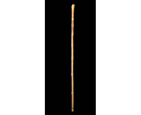 A Victorian / Edwardian Japanese bamboo sword stick with root ball handle. Split to the bamboo shaft at the top.  Tarnish to 