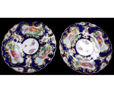 A pair of first period Worcester style porcelain plates, possibly Booths, painted with reserves of exotic birds and butterfli
