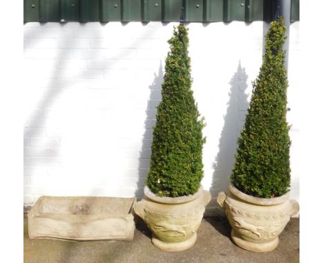 A pair of concrete planters, containing conical box wood, 161cm high, together with a concrete serpentine planter, with folia