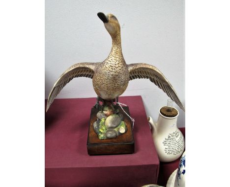 A Royal Worcester American Pintail (Hen), modelled by Ronald Van Ruyckevelt, numbered 213, on rectangular wooden plinth, (min