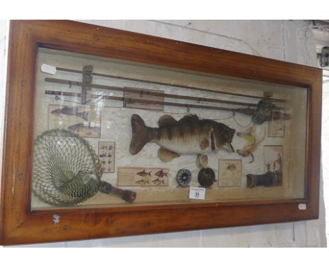 Framed display of a stuffed Chub with stylised fishing rods &amp; reels etc