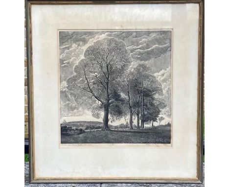 A signed lithograph of a tree William T Rawlinson 1912-1993