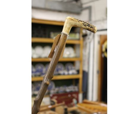 An antler handled walking stick