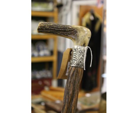 A walking stick with antler handle and silver collar