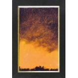 Friedel, Lutz. Gewitterlandschaft
