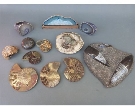 A quantity of fossil and geological samples including polished agate, cross sections of fossils, serpentine paper weight etc