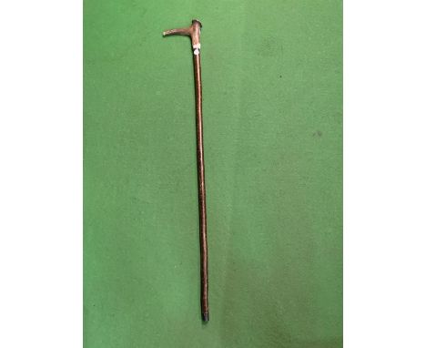 A STAGHORN ANTLER CROWN WALKING STICK 