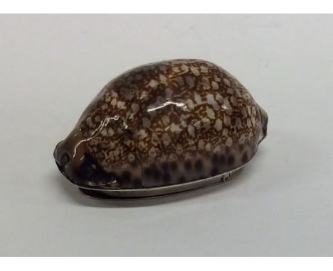 A rare Georgian silver snuff box mounted with a shell with bright cut decoration. By J Buck. Approx. 6.5 cms long. Approx. 50