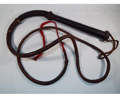 An East African whip, approximately 2 metres (l)