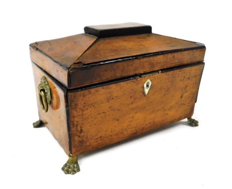 A Georgian burr yew tea caddy, of sarcophagus form, with brass lion's head and ring handles, opening to reveal a vacant inter