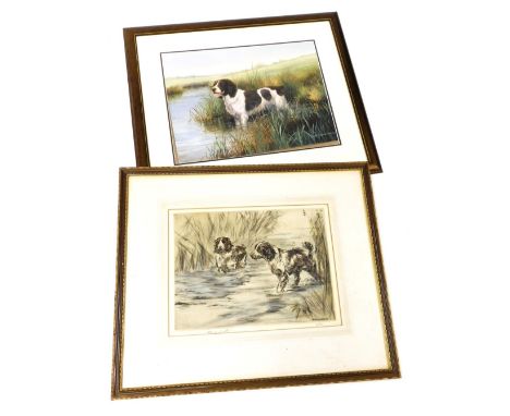 Henry Wilkinson. Two spaniels in river surrounded by reeds, limited edition signed print number 8/100, 25cm x 34cm, and after