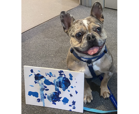 Blue
&lsquo;Blue&rsquo;


Blue has been at Bristol Animal Rescue Centre for seven months. He came to us in a bad way and had 